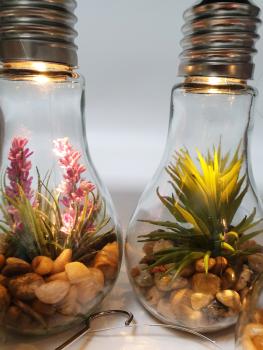 Preview: LED Deko Glühbirne aus Glas mit Kunstpflanze warmweiß - 2 Designs -